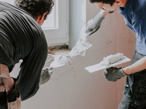 Damp Proofing and Wall Restoration