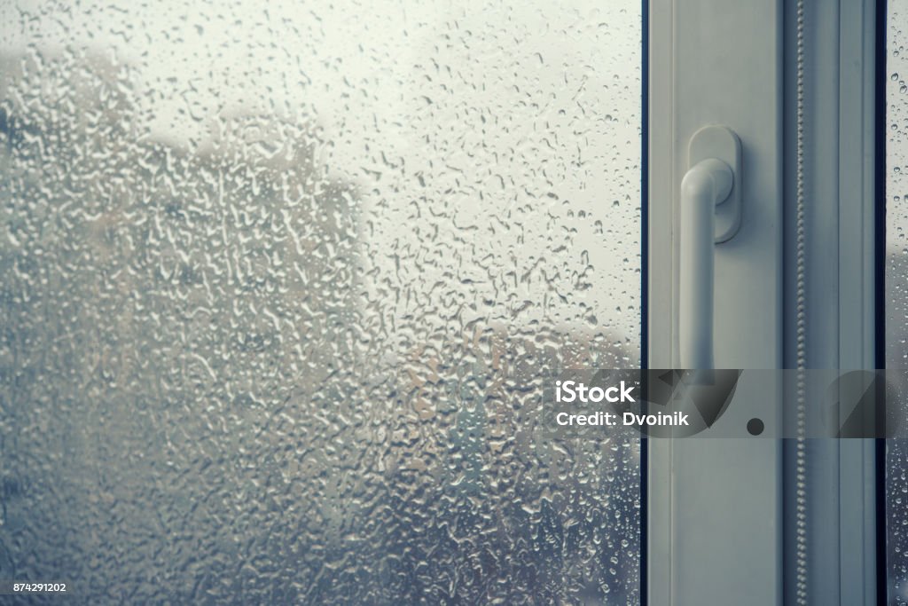 Penetrating Damp Treatments