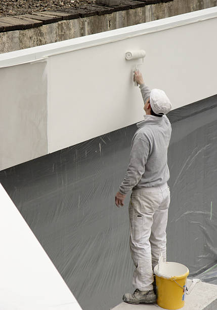 professional exterior house painting