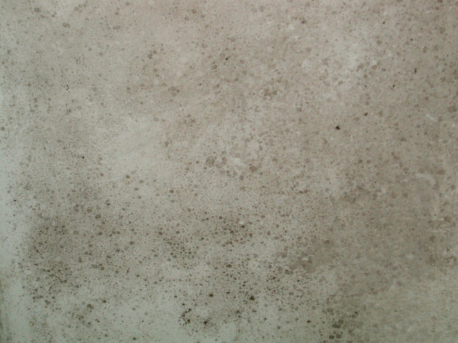 awc-mould