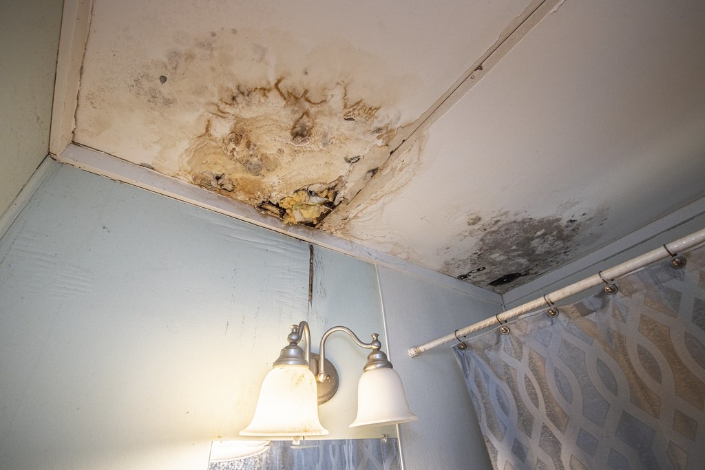 black mould removal